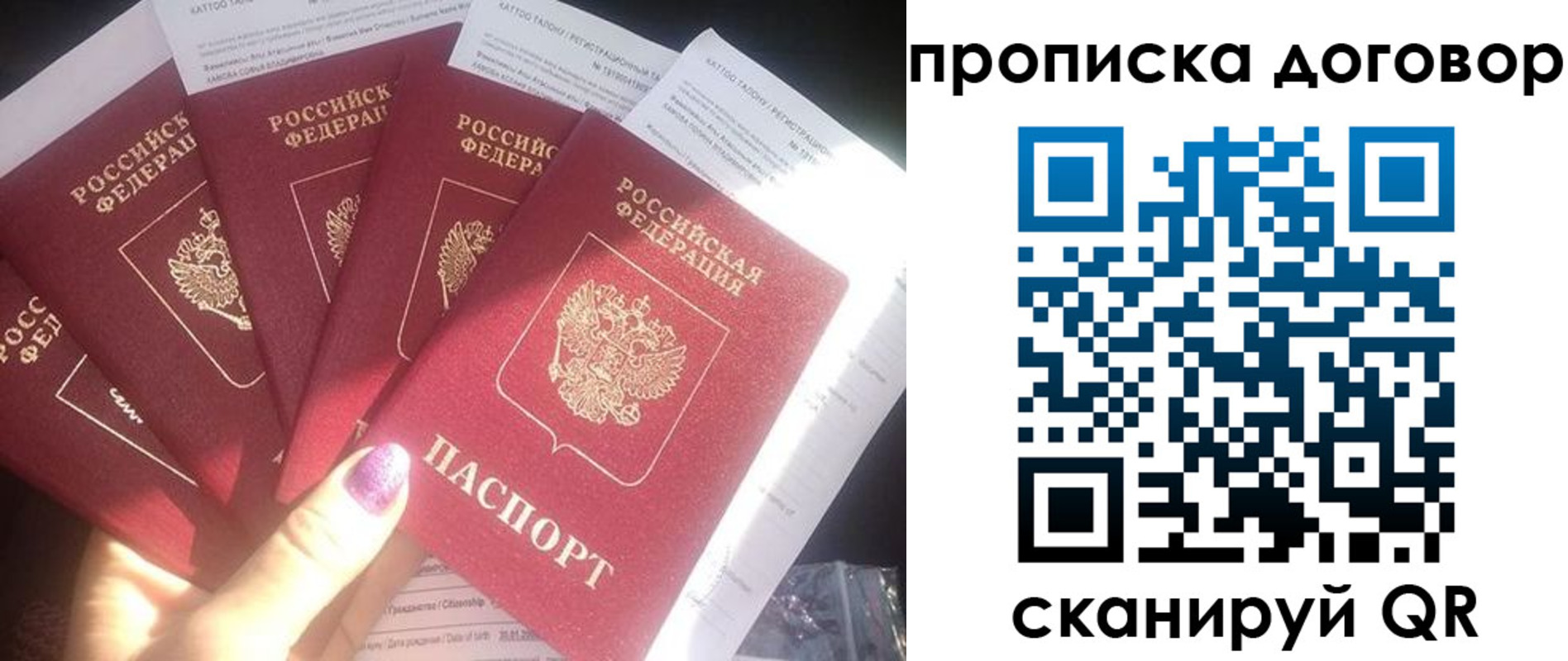 где прописаться в Краснозаводске